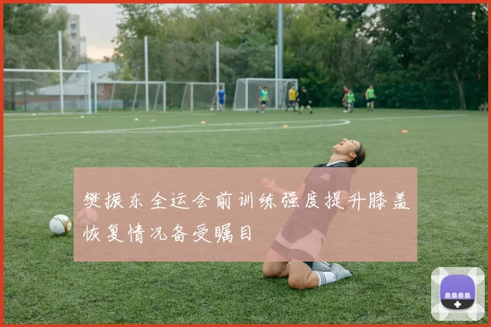 樊振东全运会前训练强度提升膝盖恢复情况备受瞩目